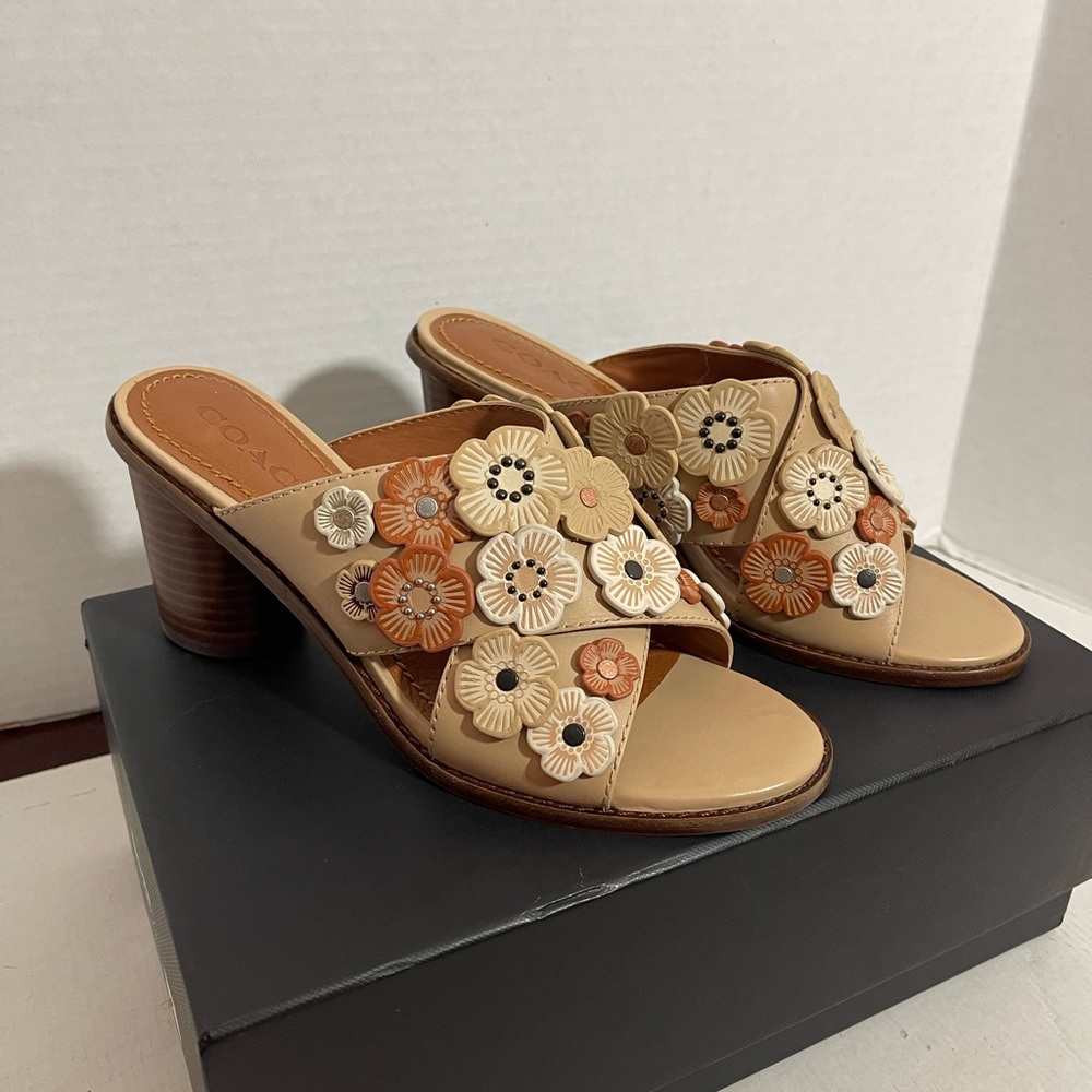 Size 8 coach